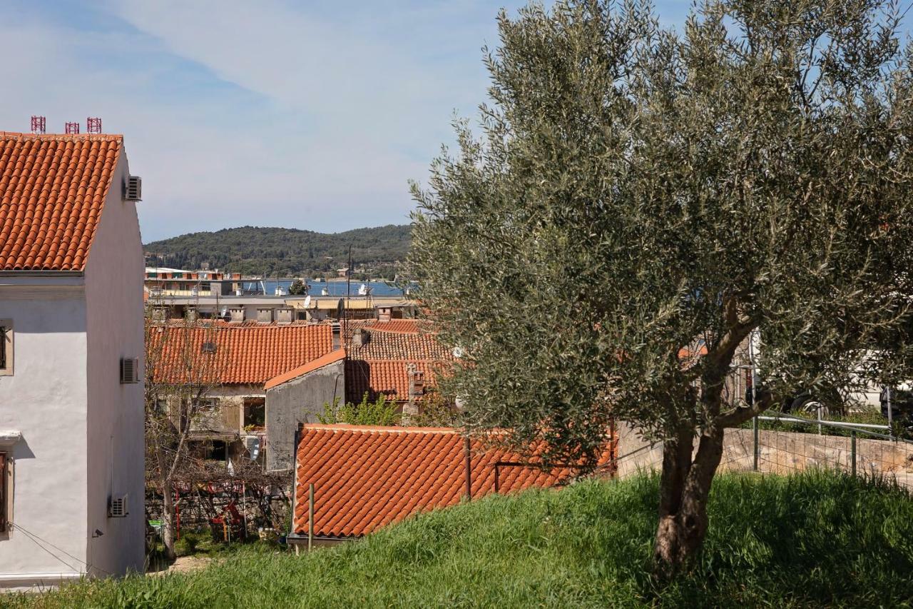 Arena Apartman *